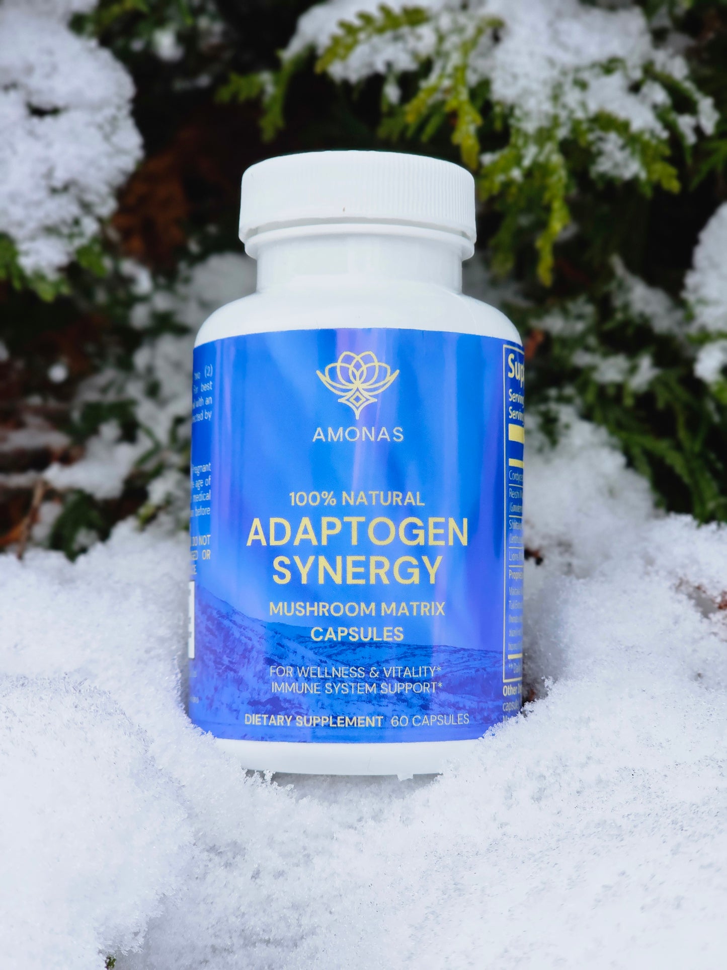 Amonas Adaptogen Synergy Mushroom Matrix