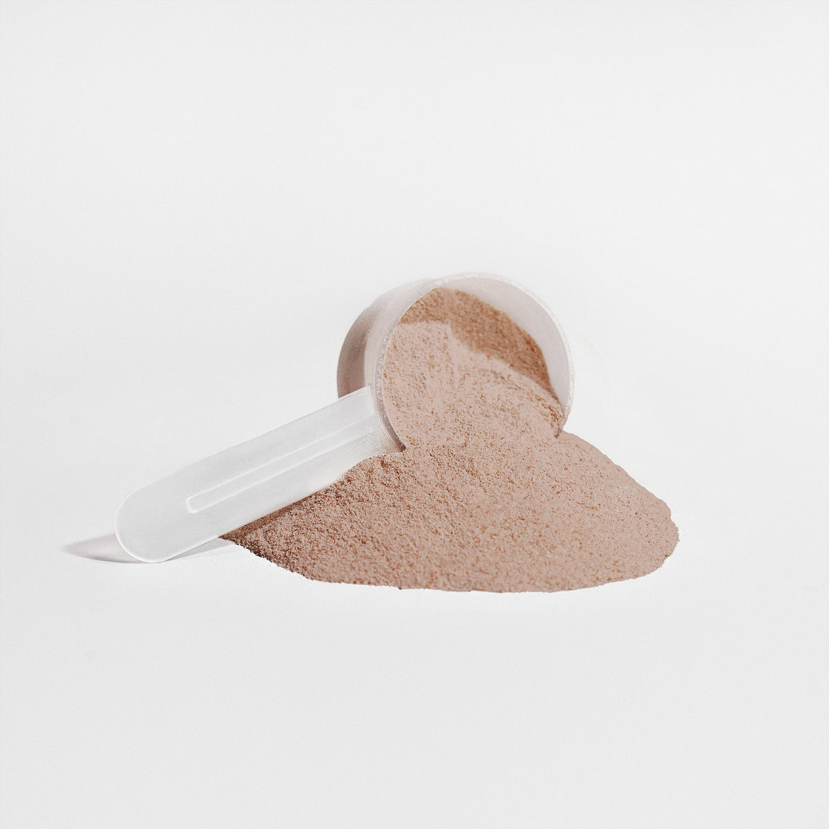 Amonas Chocolate Bliss chocolate plant protein powder, 24 servings with 21 g fava bean protein